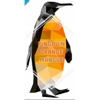E-Liquide Bankeeze Pingouin Orange Lovap | Création Vap