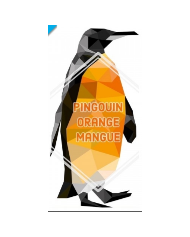 E-Liquide Bankeeze Pingouin Orange Lovap | Création Vap