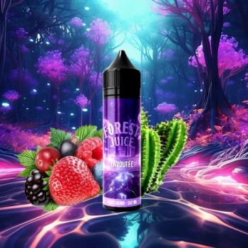 E-Liquide Envoutée Forest Juice Création Vap 50Ml | Création Vap