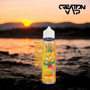 E-Liquide Salopiot Multi Freeze Liquideo 50Ml | Création Vap