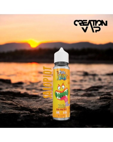 E-Liquide Salopiot Multi Freeze Liquideo 50Ml | Création Vap
