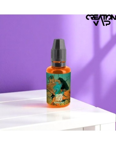 Arôme Concentré Kansetsu Fighter Fuel Maison Fuel 30Ml | Création Vap