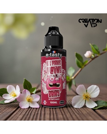 E-Liquide Bairy Les Maxis Malins E.Tasty 100Ml | Création Vap